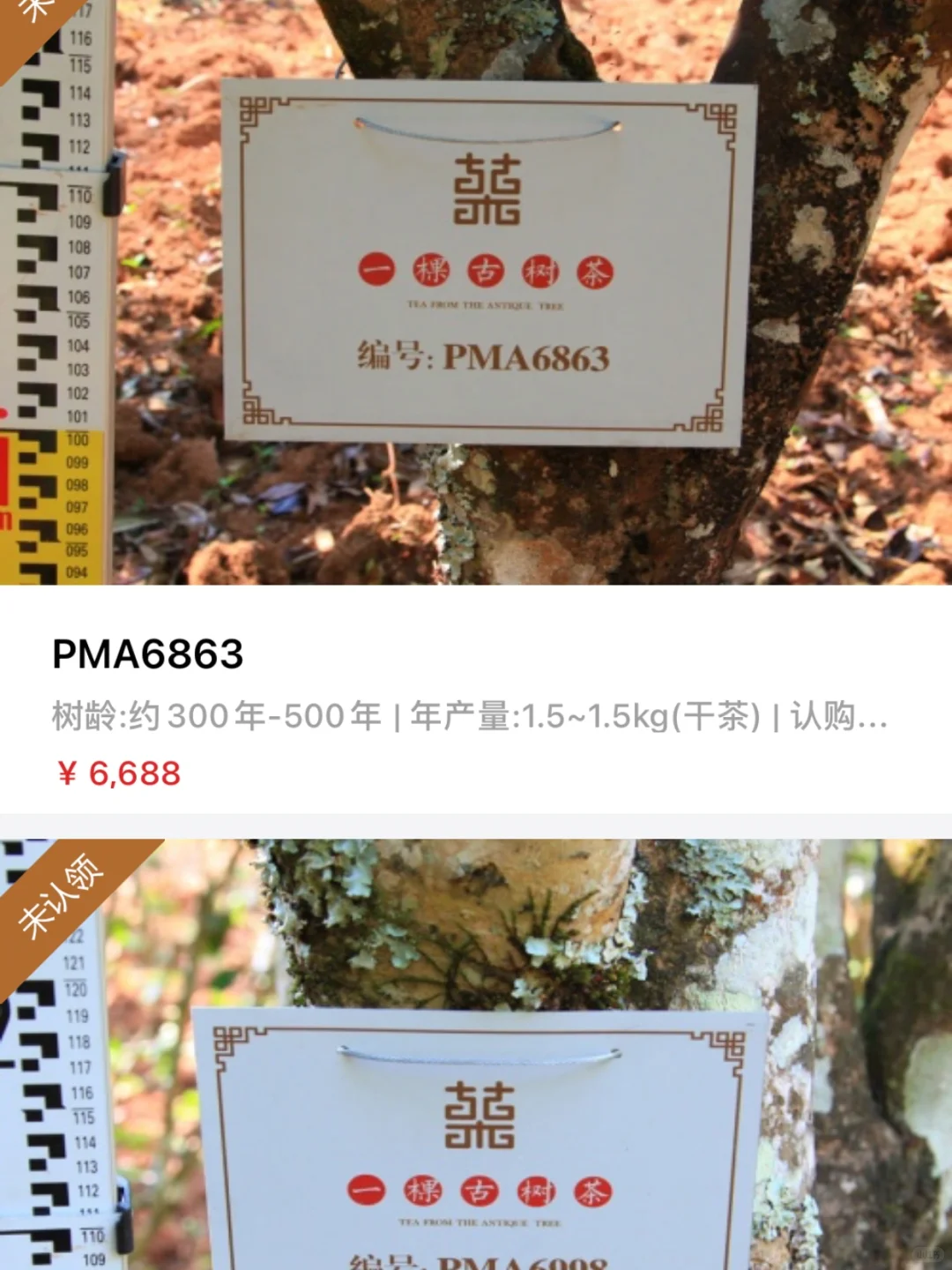 了解茶文化的APP