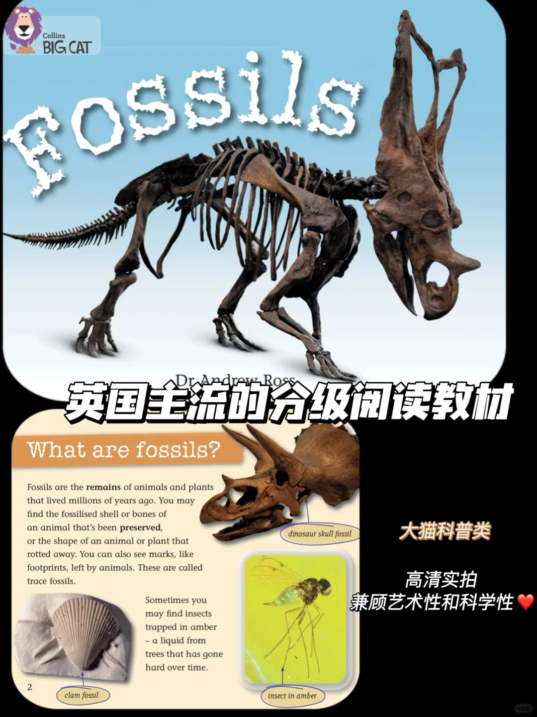 0基础娃英语启蒙躺赢！这个APP我能安利到老！