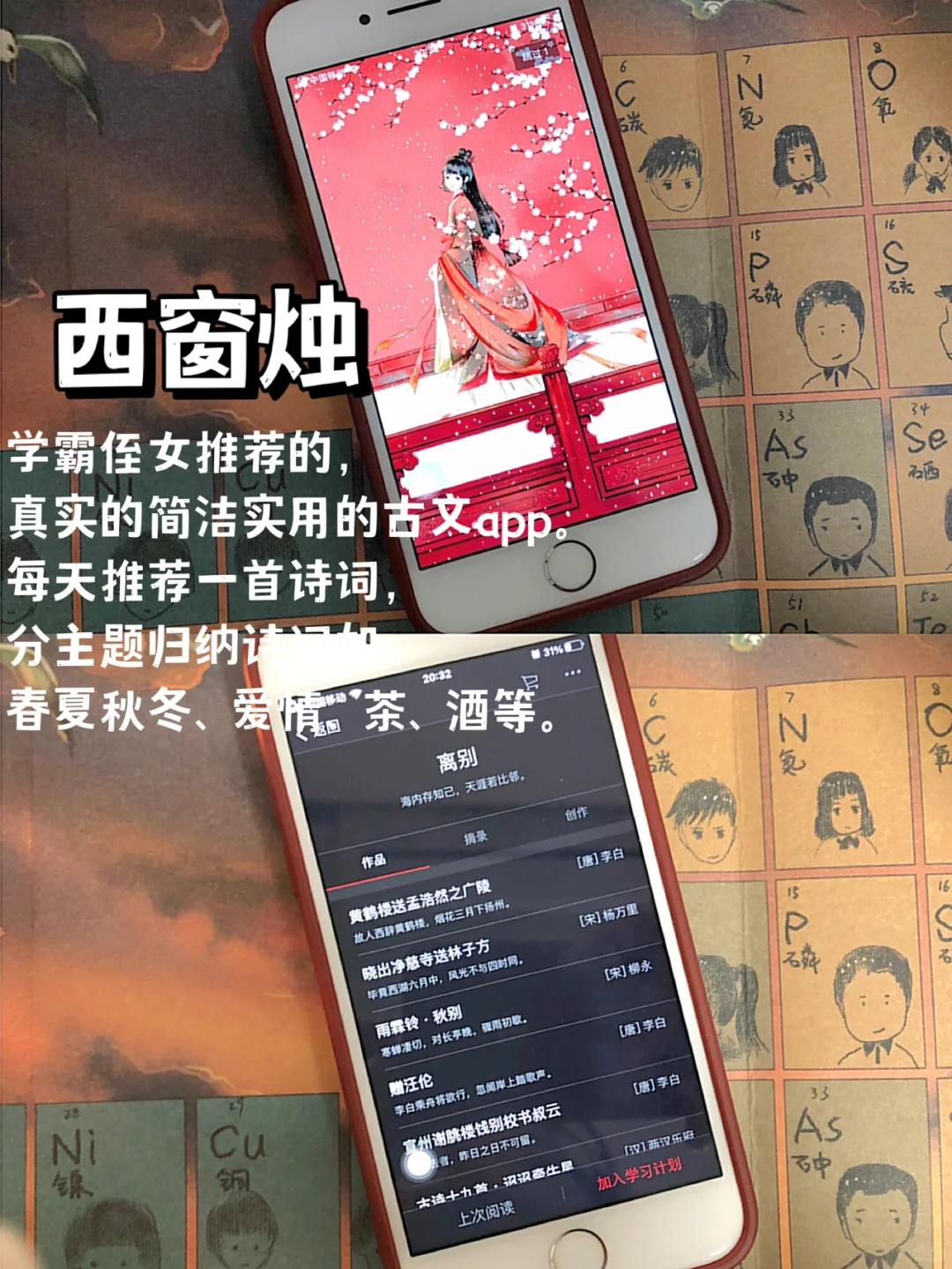 8个学习类APP❤️碎片化时间的趣味学习