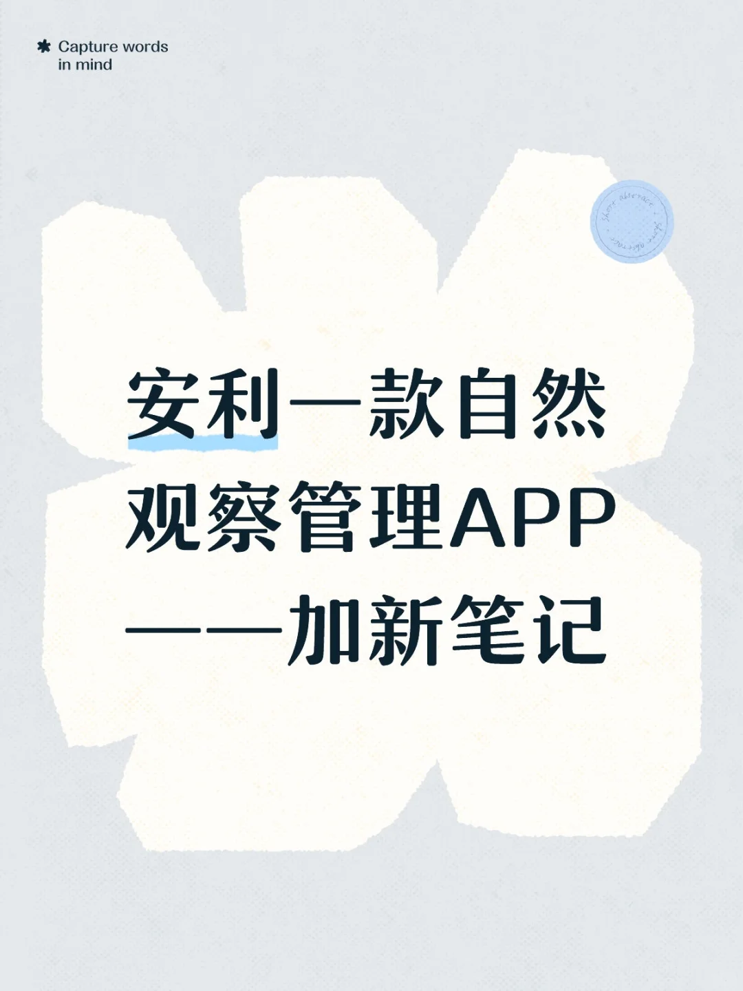安利一款自然观察管理APP——加新笔记