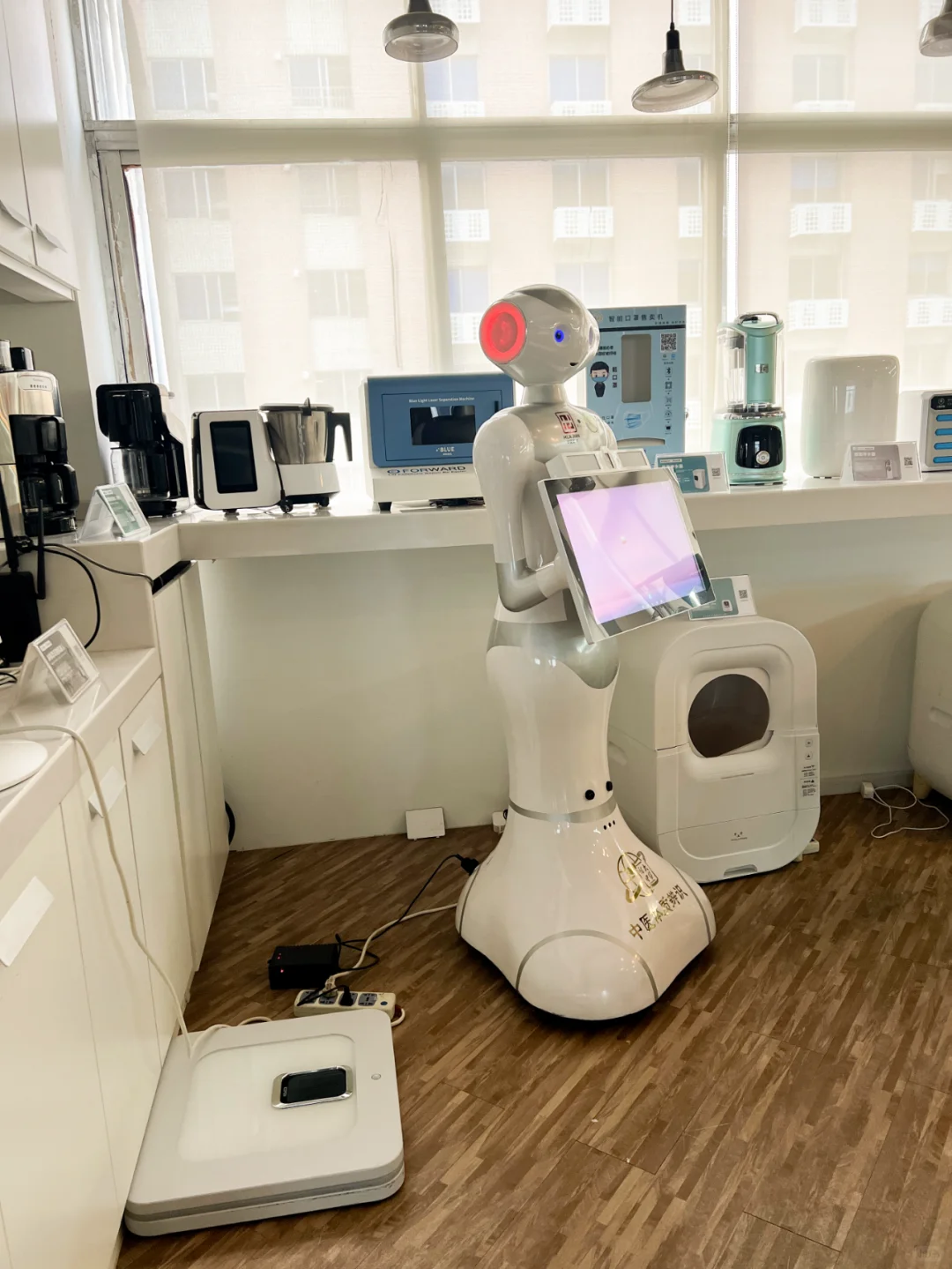 软件销售岗打工日记-沉浸式新人视角