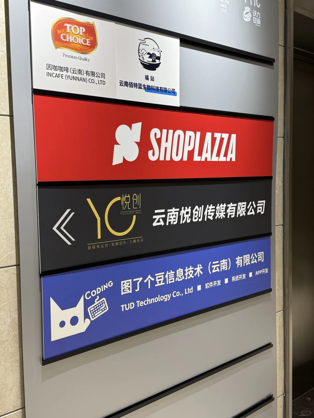 软件开发公司🌷