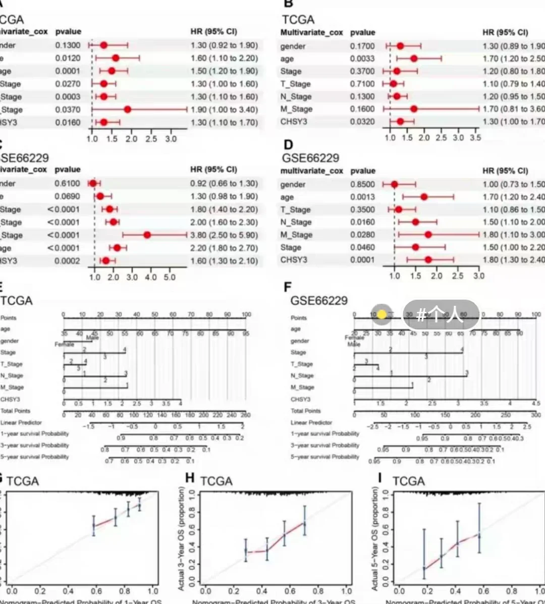 代码复现，模型调优 代码跑通改进 创新思路