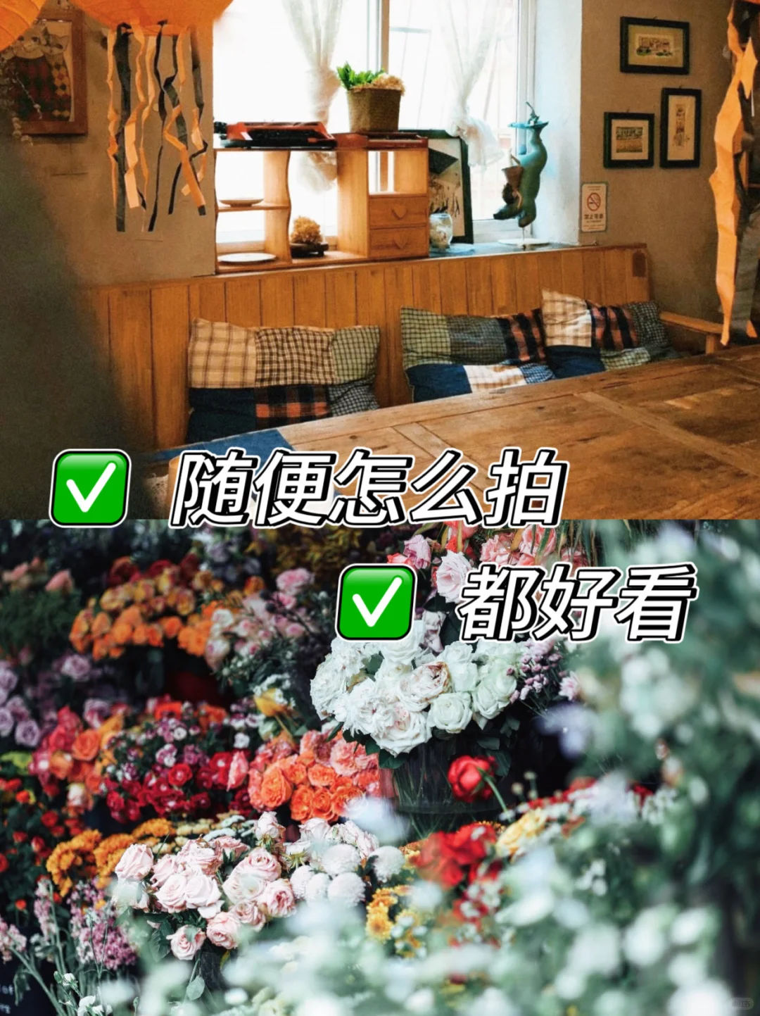 太简单了吧!dazz相机会员免费被我薅到了!