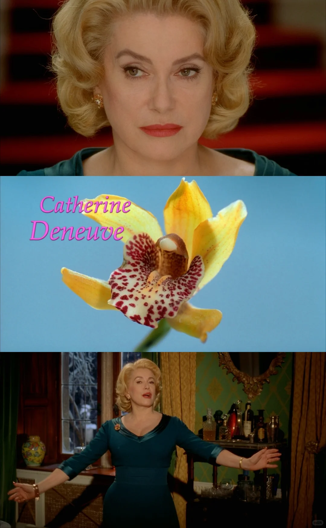 我的姑姑在激吻我的妈妈🫢