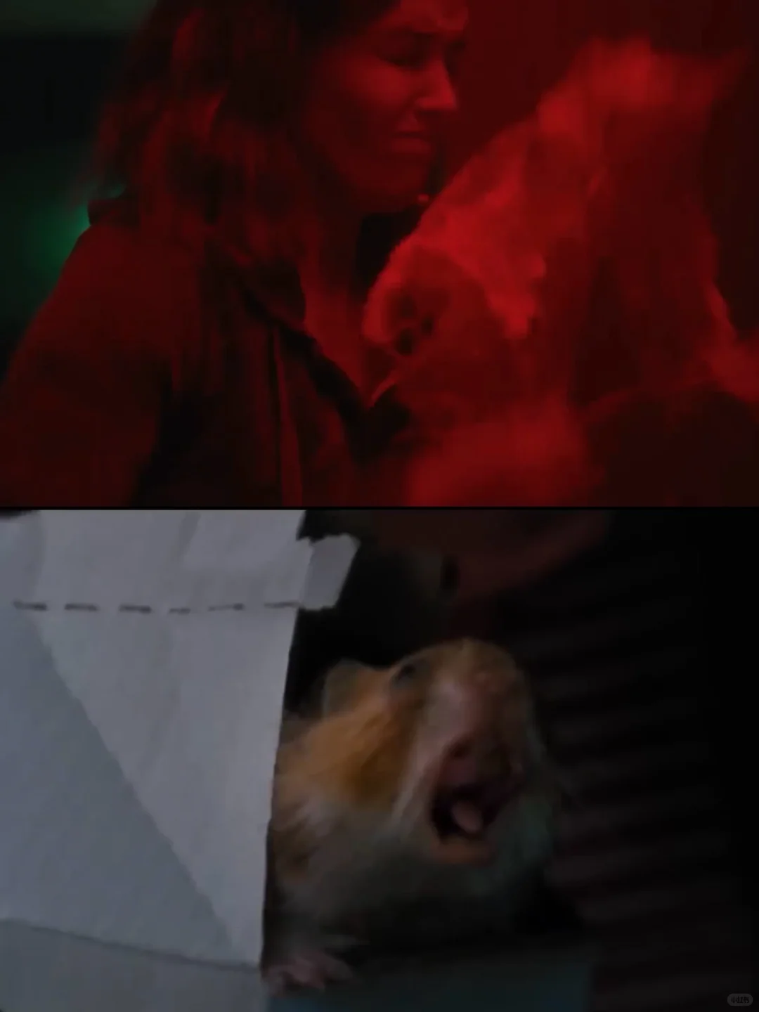 A24新片‼️🍅9.4‼️年度罕见神作‼️震撼到失语