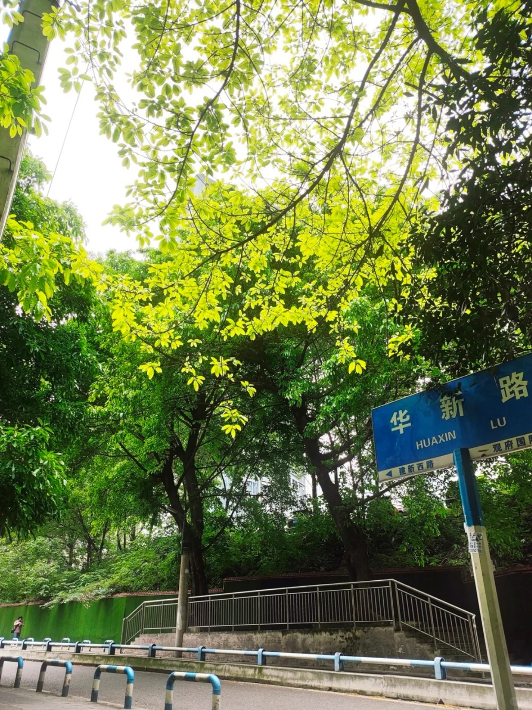 dazz相机免费会员