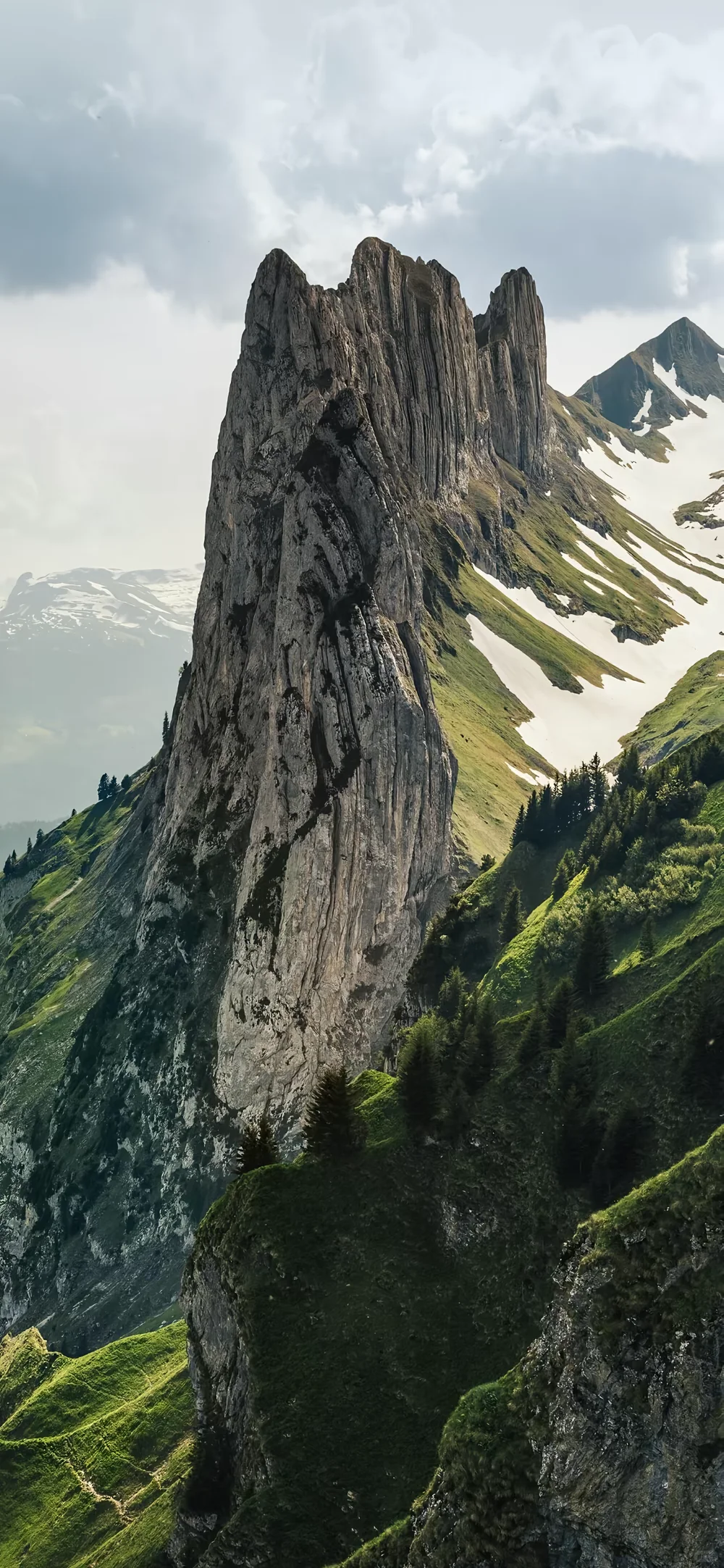 刷到就是大数据在提醒你该换壁纸了！