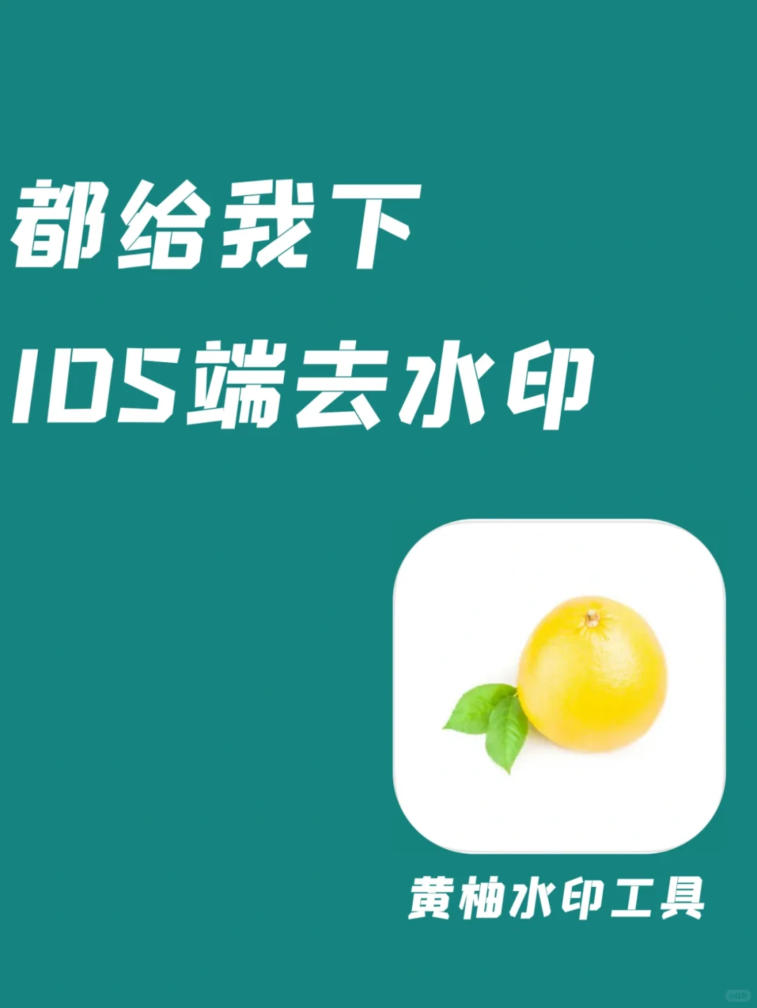 ios都给我去下这个去水印神器