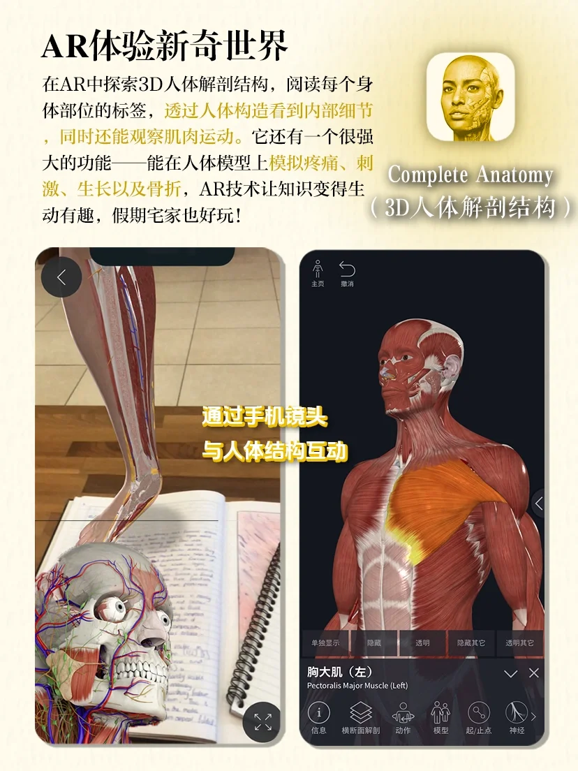 假期宅家不无聊💪🏻8个神仙APP边玩边学