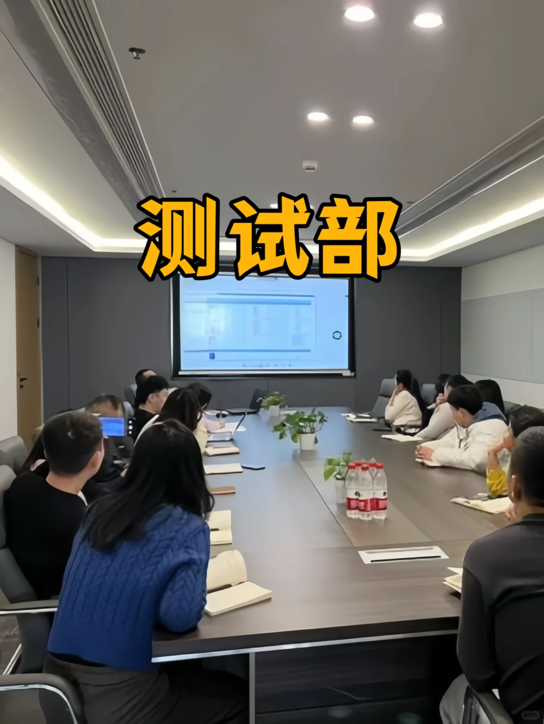 公司新来的软件测试，她真的太棒了🎉