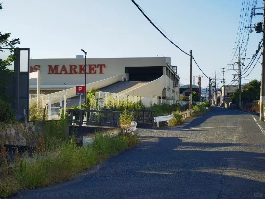 救命!在日本干饭终于不抓瞎了!这APP也太好