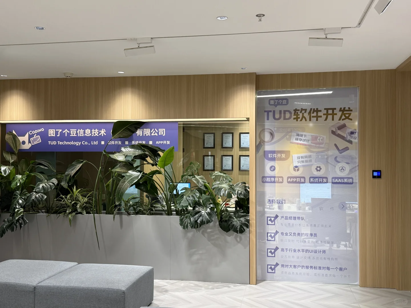 软件开发公司🌷