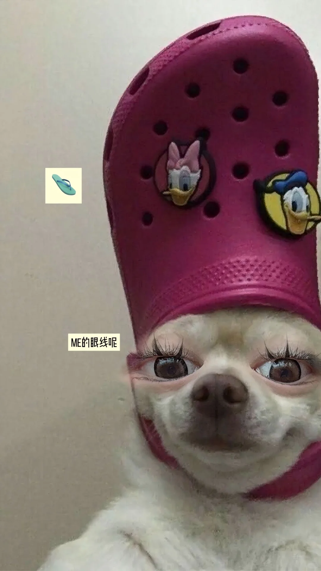 Snapchat！安卓苹果保姆级图文教程来啦🤗