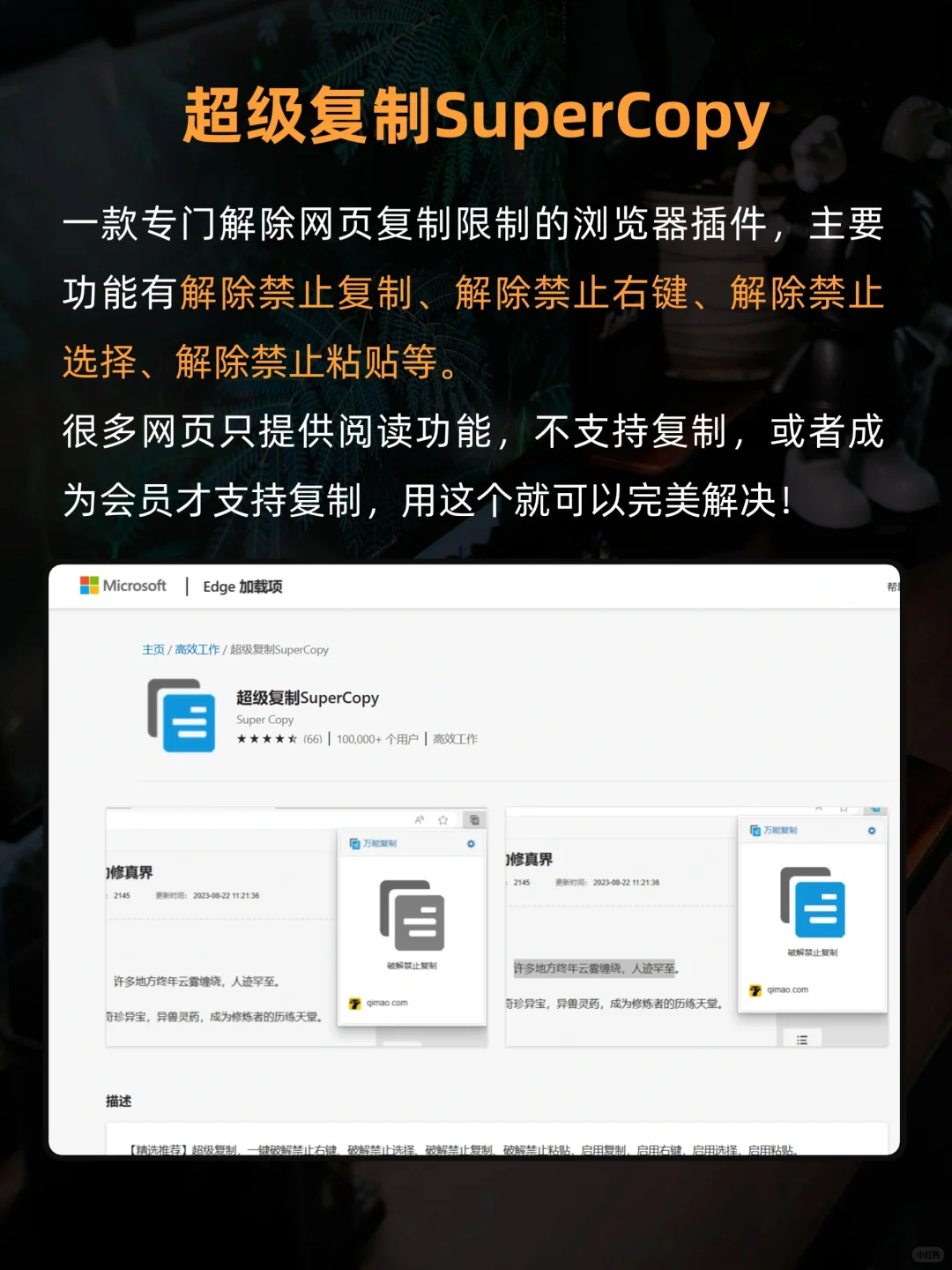 很难不爱！9个颠覆认知的Edge插件🔥