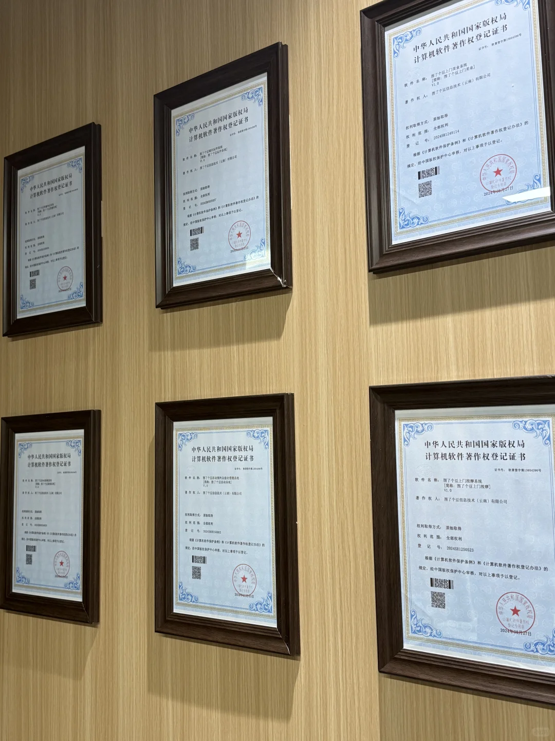 软件开发公司🌷