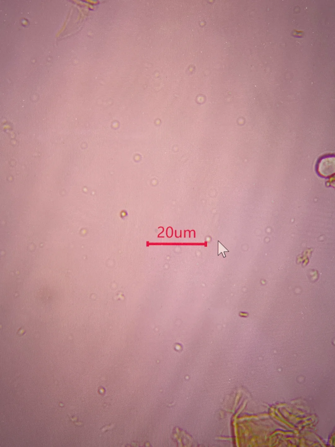 求一个会给软件写插件的大佬