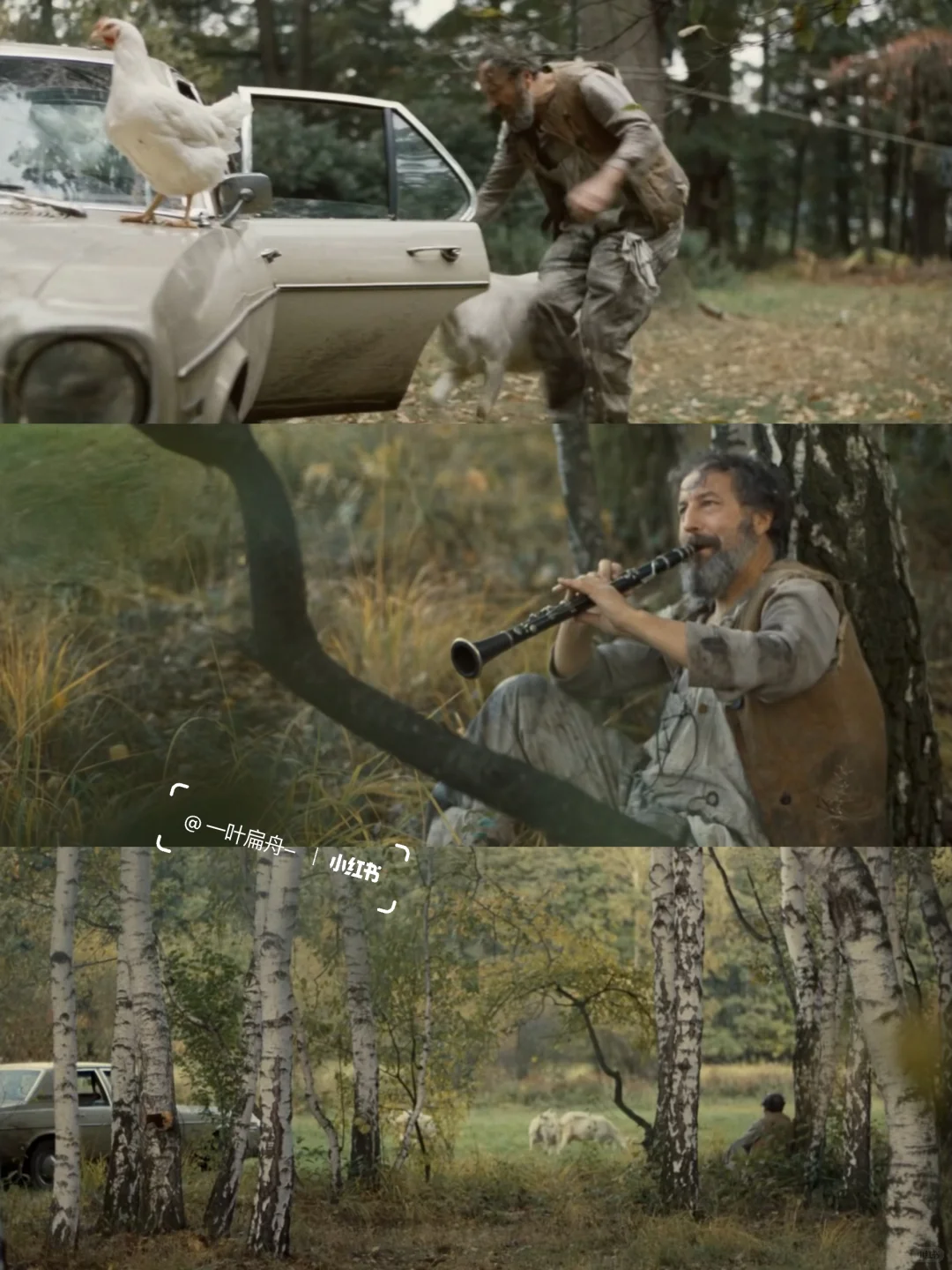 啊啊啊我终于找到了这部电影😭