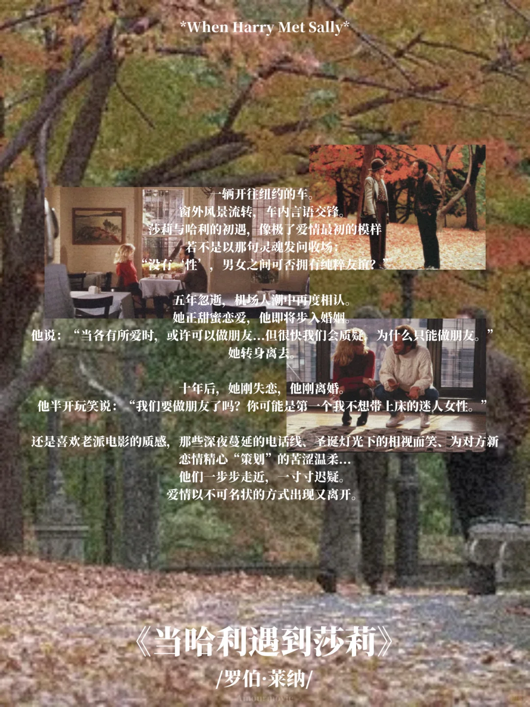 秋日片单 | “静静感受深秋的轻柔与悲悯”🍂