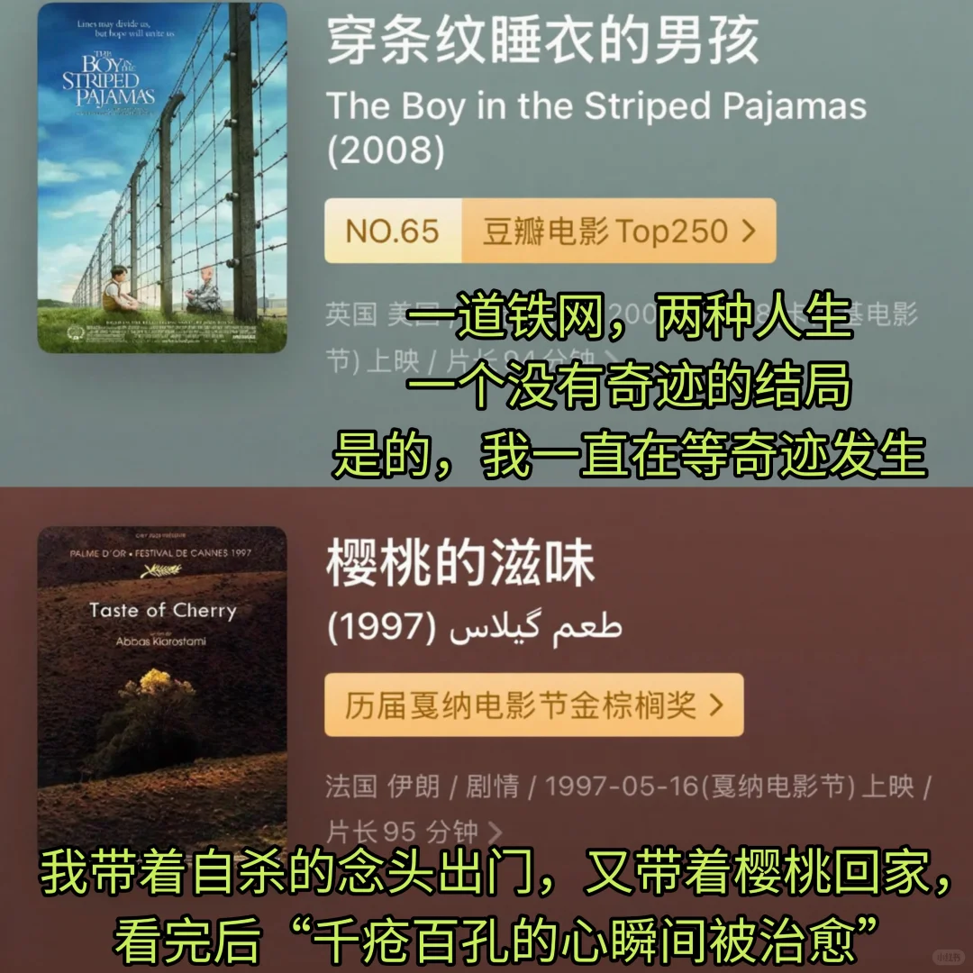 🆘想告诉全世界😭这些电影真的巨好看❗️