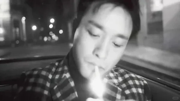 电影资料馆的春光乍泄