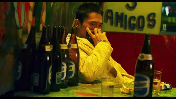 电影资料馆的春光乍泄