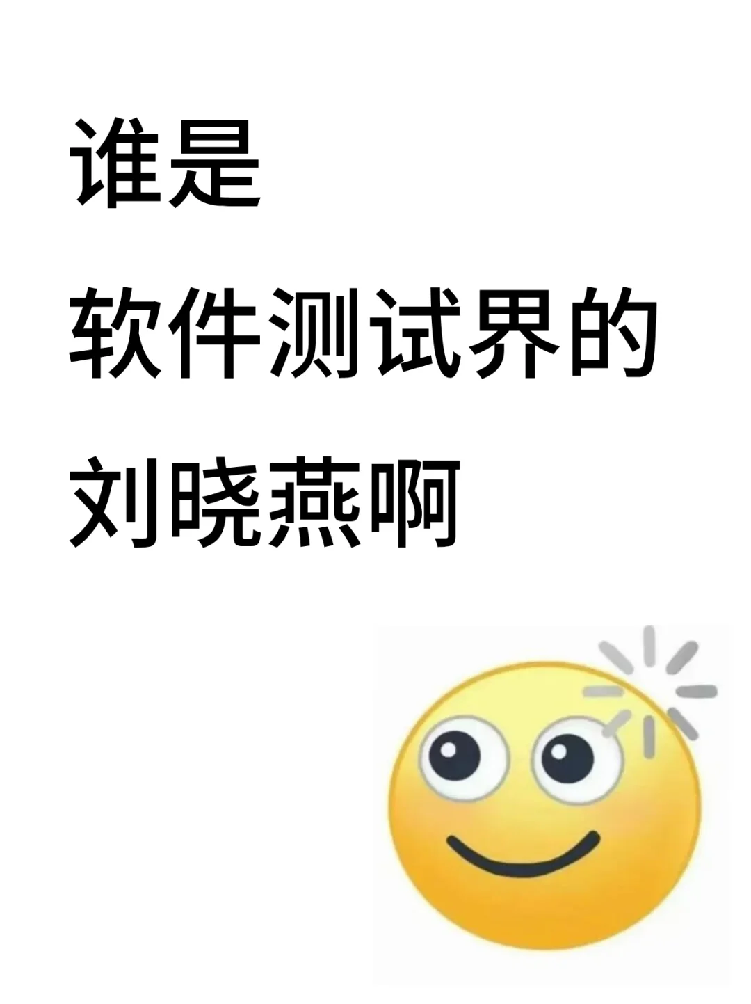 谁说软件测试界的刘晓燕啊...