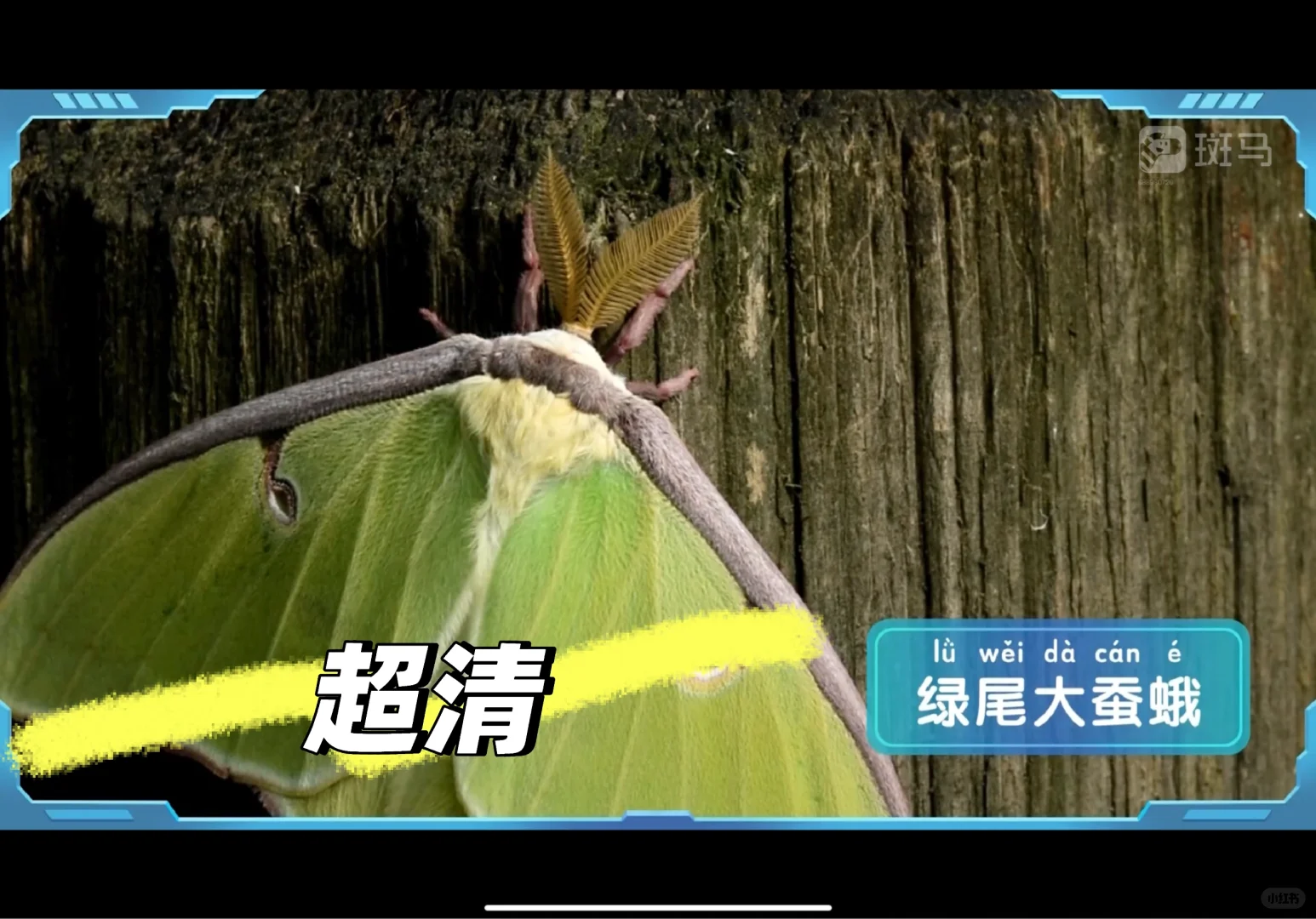 终于找到让娃放下手机的宝藏APP！