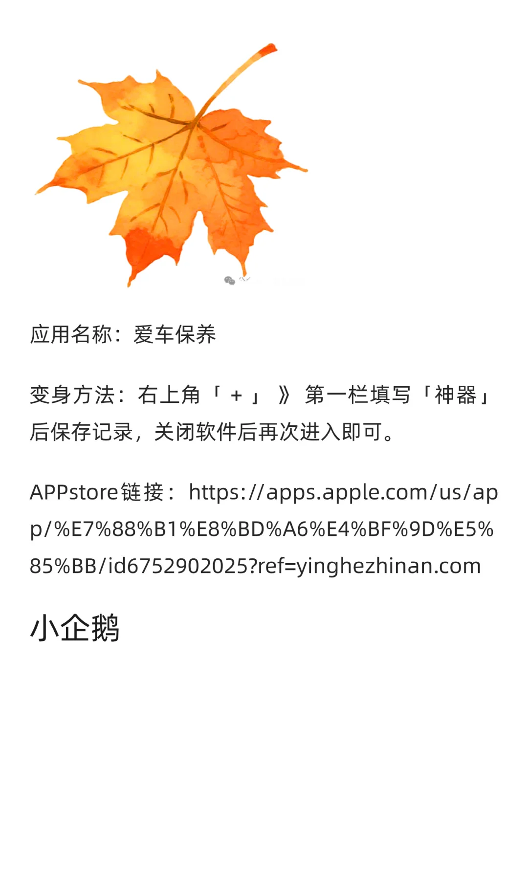 APPstore最新上架应用，亲测可用