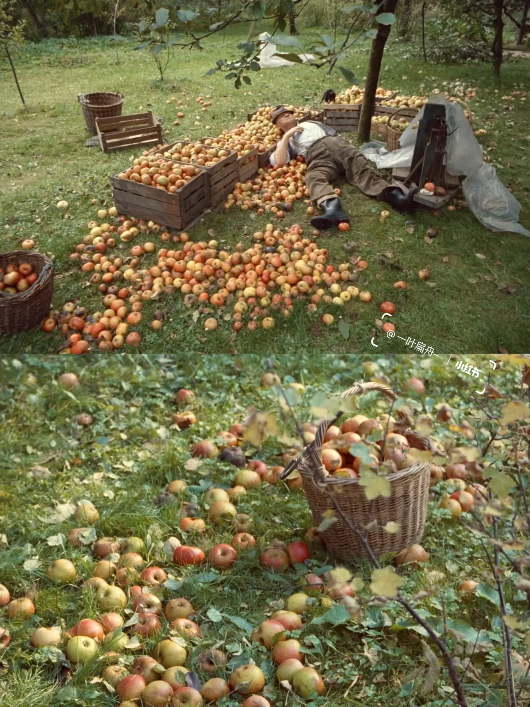 啊啊啊我终于找到了这部电影😭