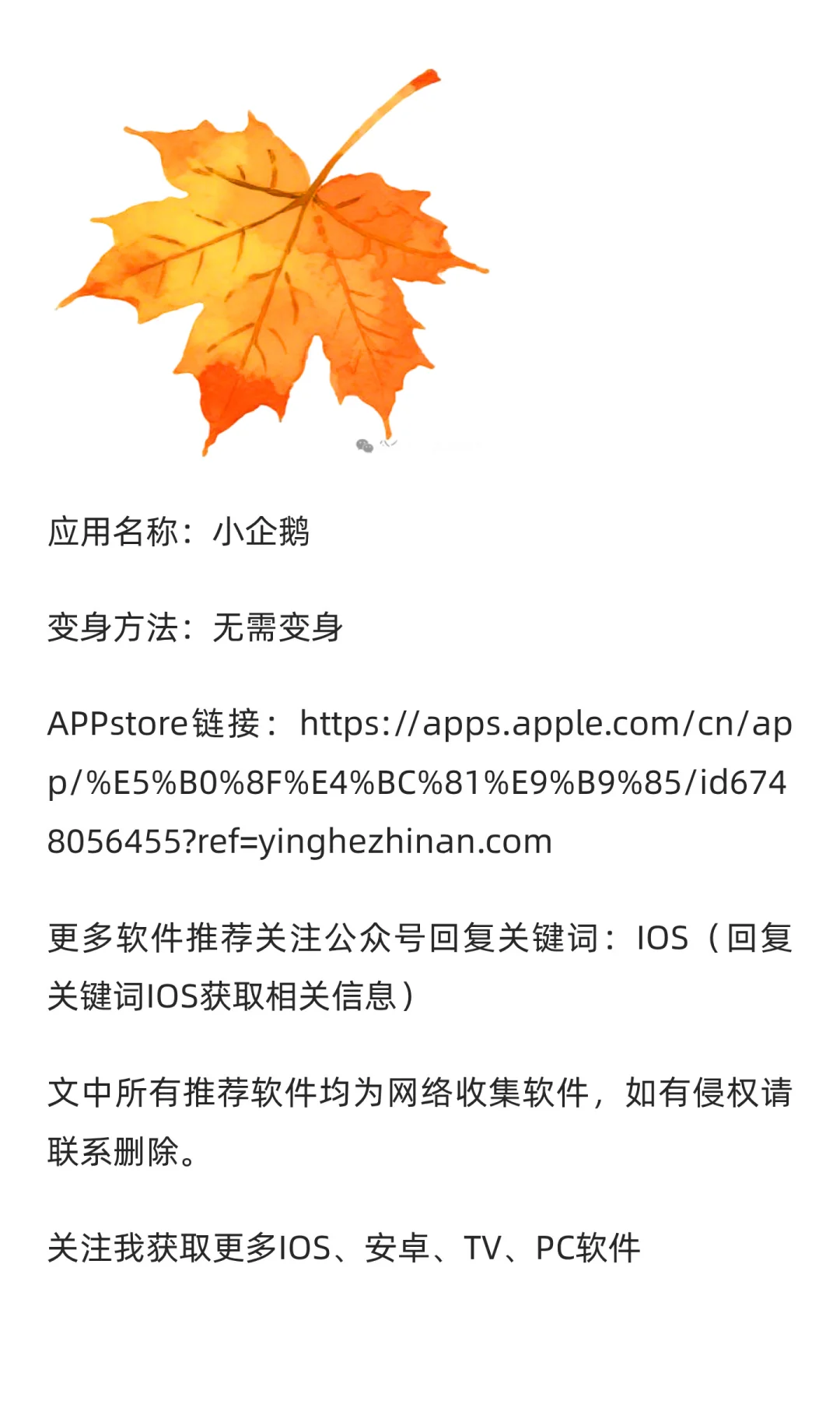 APPstore最新上架应用，亲测可用