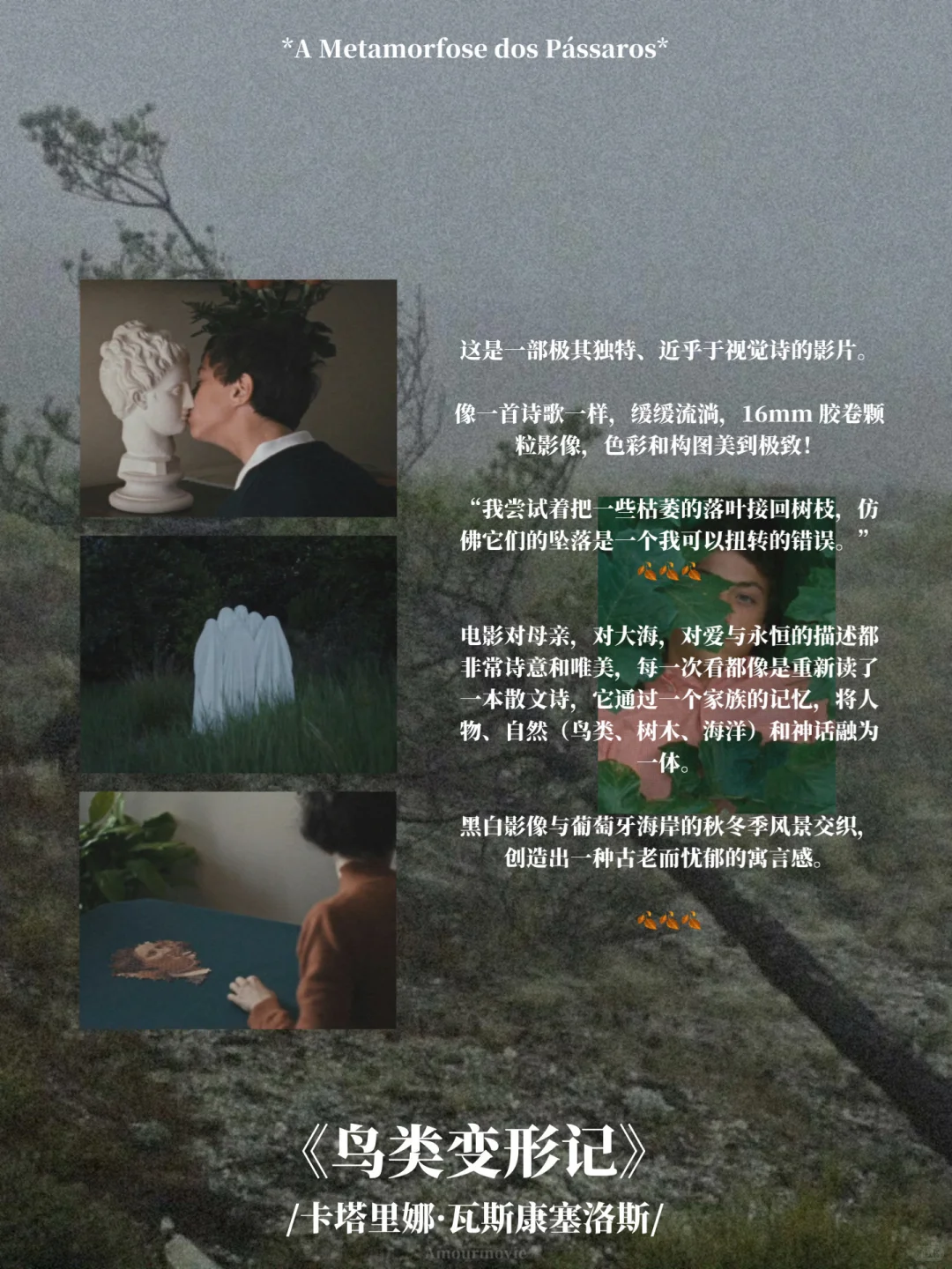 秋日片单 | “静静感受深秋的轻柔与悲悯”🍂