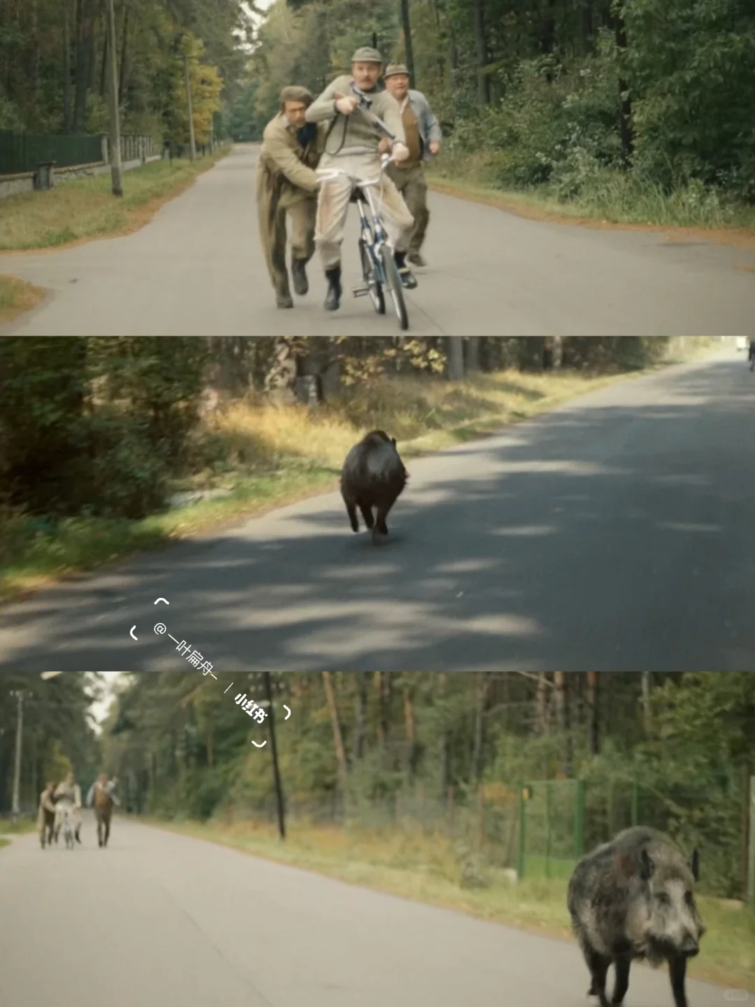 啊啊啊我终于找到了这部电影😭