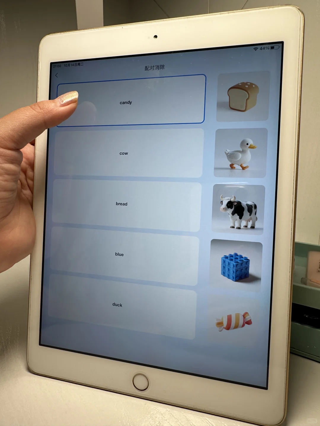 挖到宝了😭一个很贵但能成功的英语启蒙app