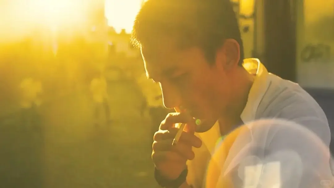 电影资料馆的春光乍泄