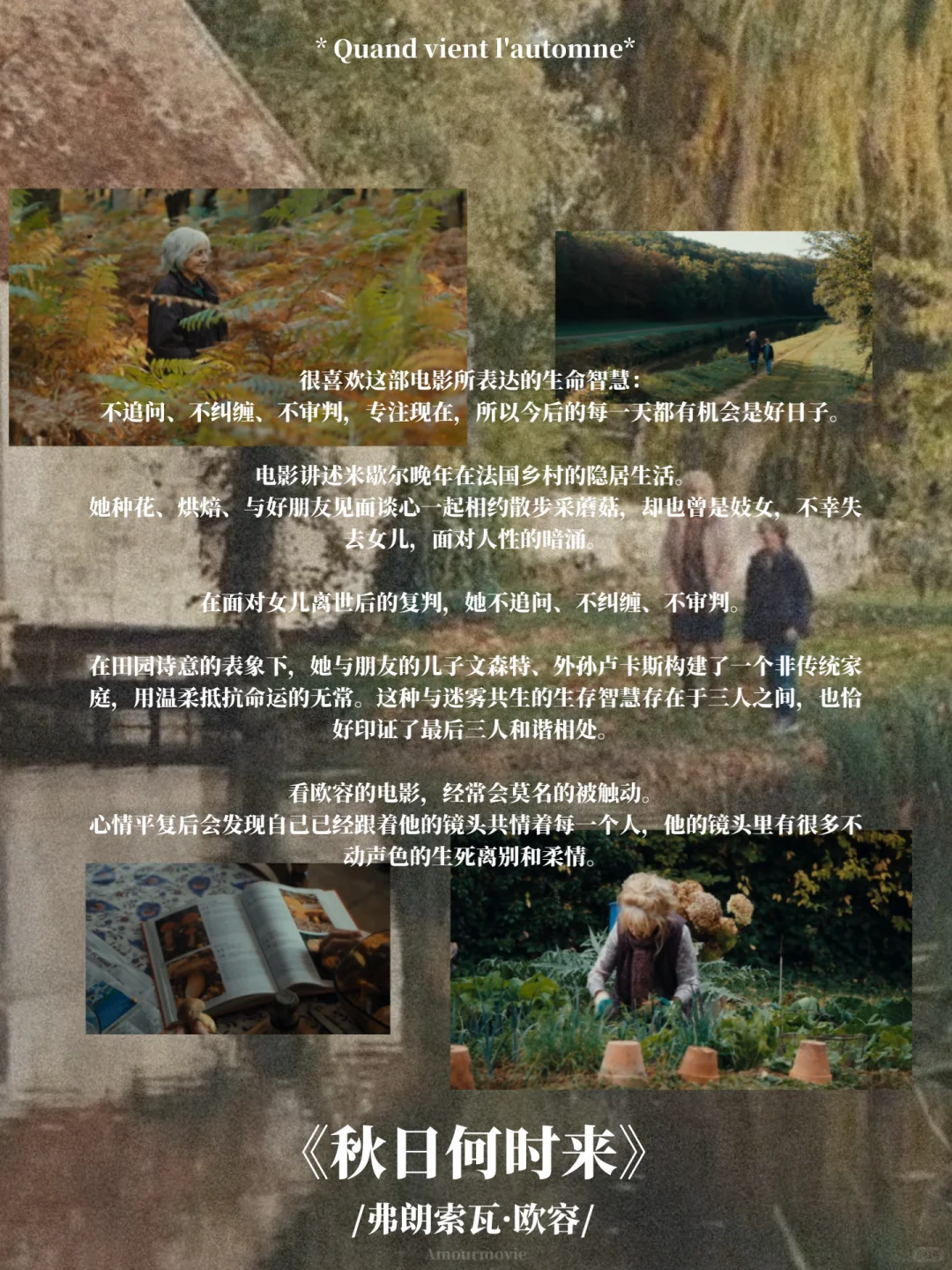 秋日片单 | “静静感受深秋的轻柔与悲悯”🍂