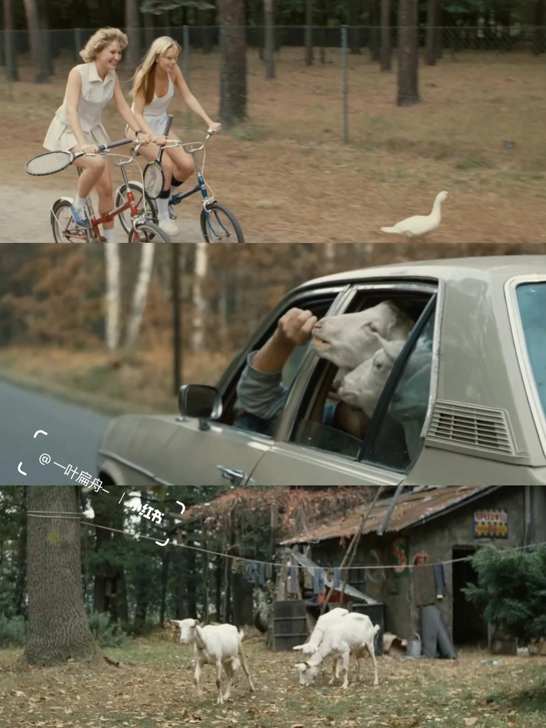 啊啊啊我终于找到了这部电影😭