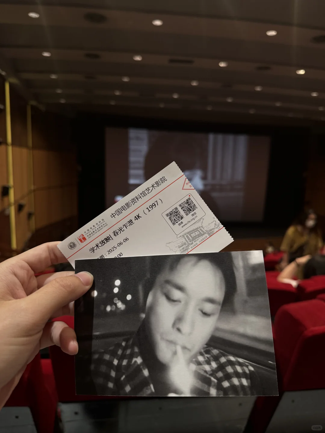 电影资料馆的春光乍泄