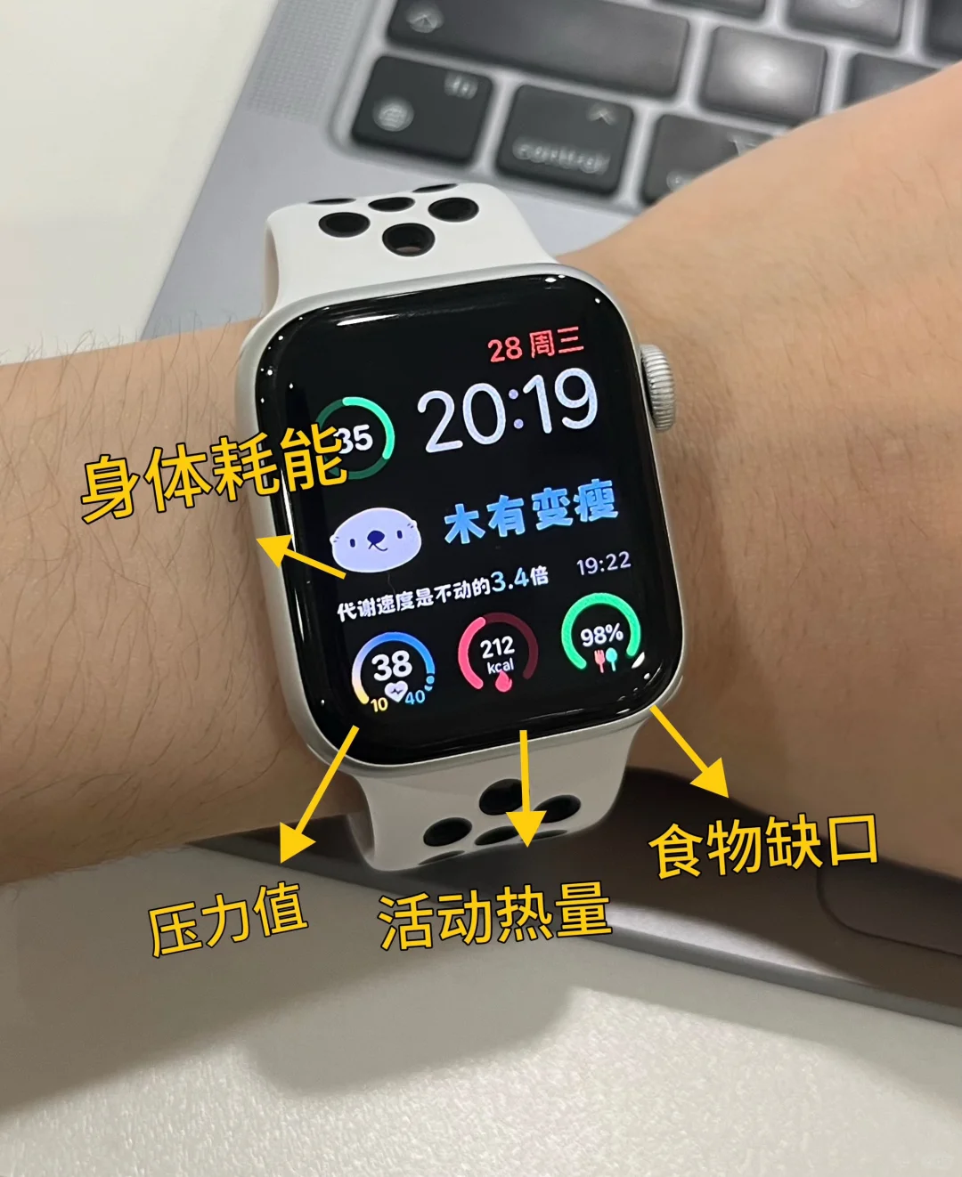 AppleWatch到手必备软件