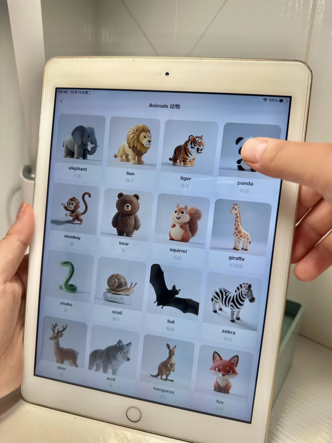 挖到宝了😭一个很贵但能成功的英语启蒙app