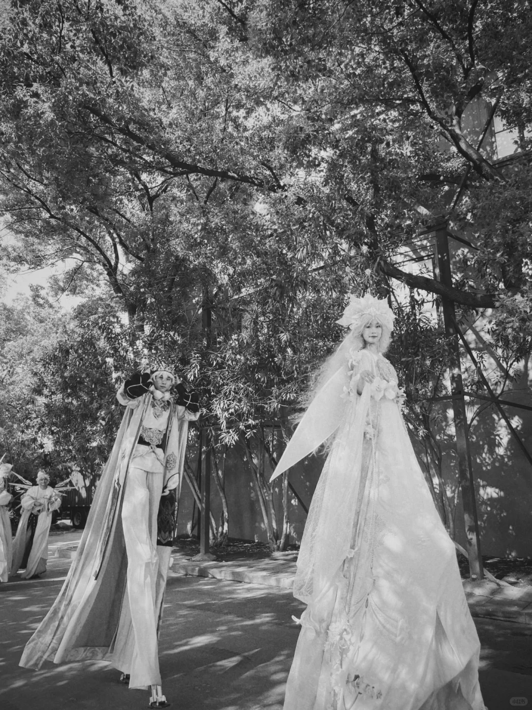 最后一卷胶片滤镜介绍 | IOS APP