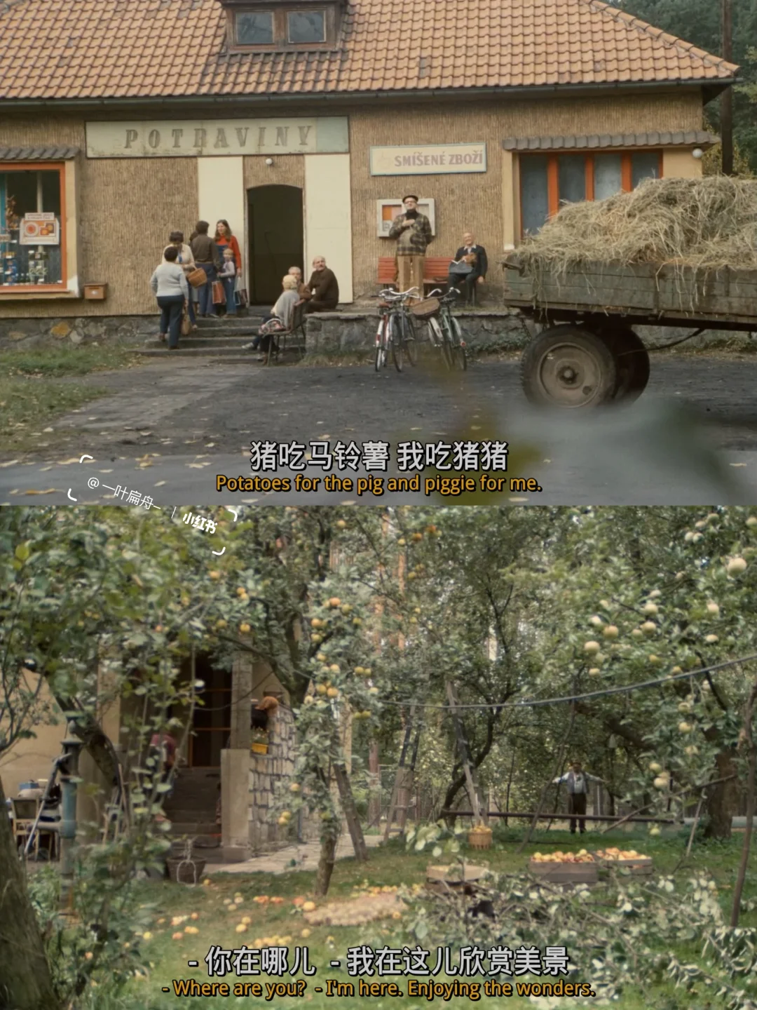 啊啊啊我终于找到了这部电影😭