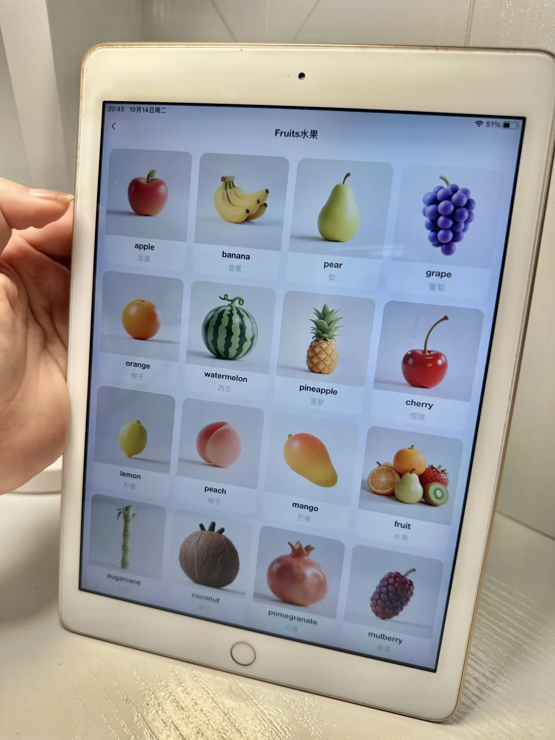 挖到宝了😭一个很贵但能成功的英语启蒙app