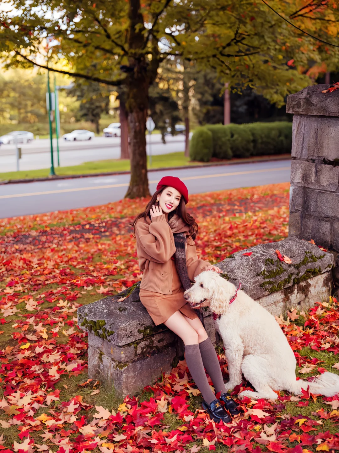希望这个秋天，好运和枫叶一样不期而至🍁