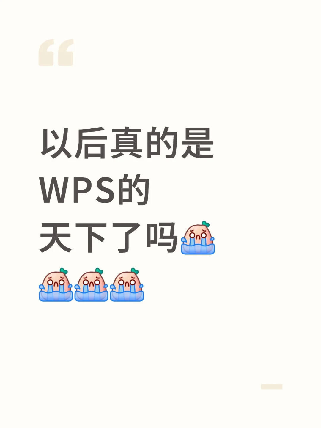 真的不喜欢用 WPS