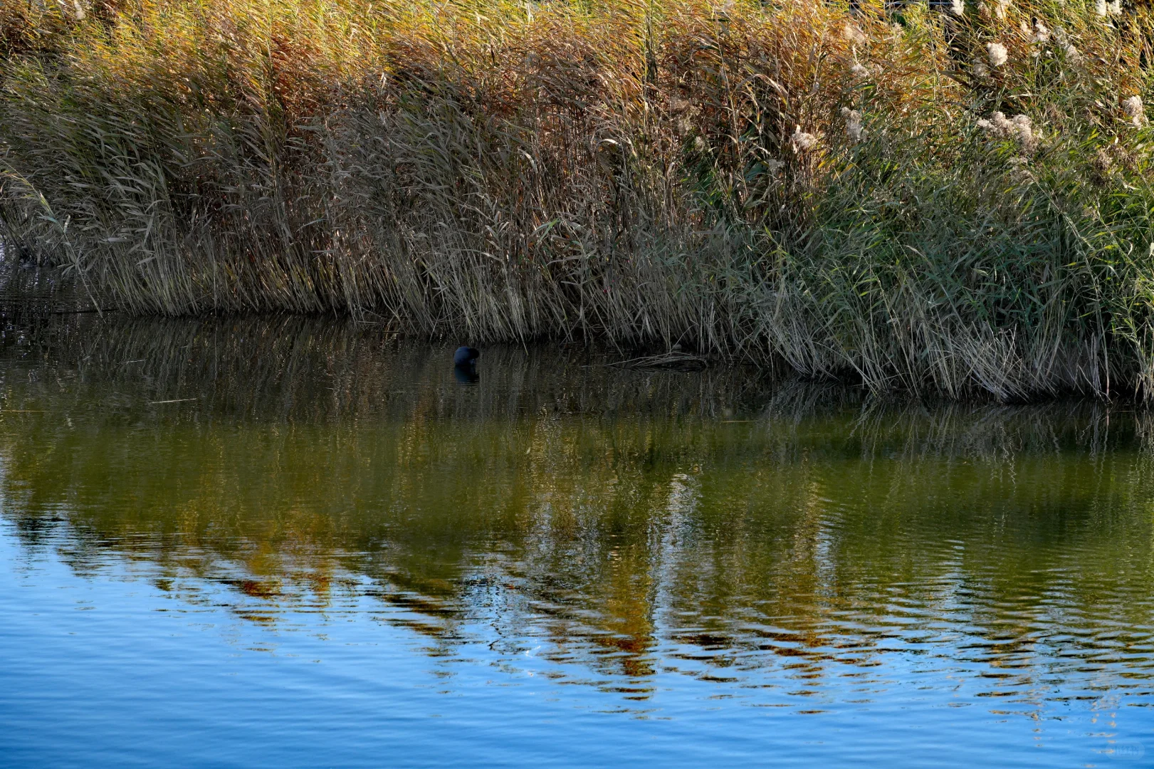 体力 脑力 心力