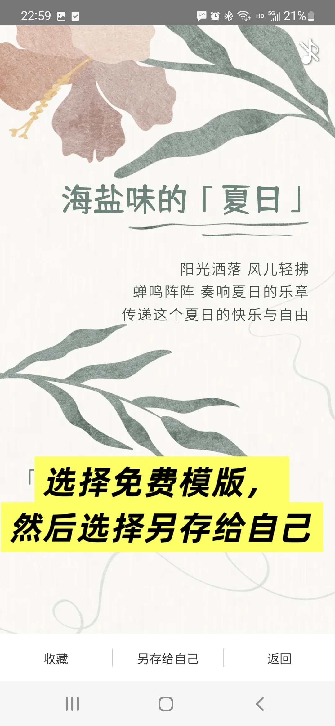 仙女手机排版 应急好用到起飞！