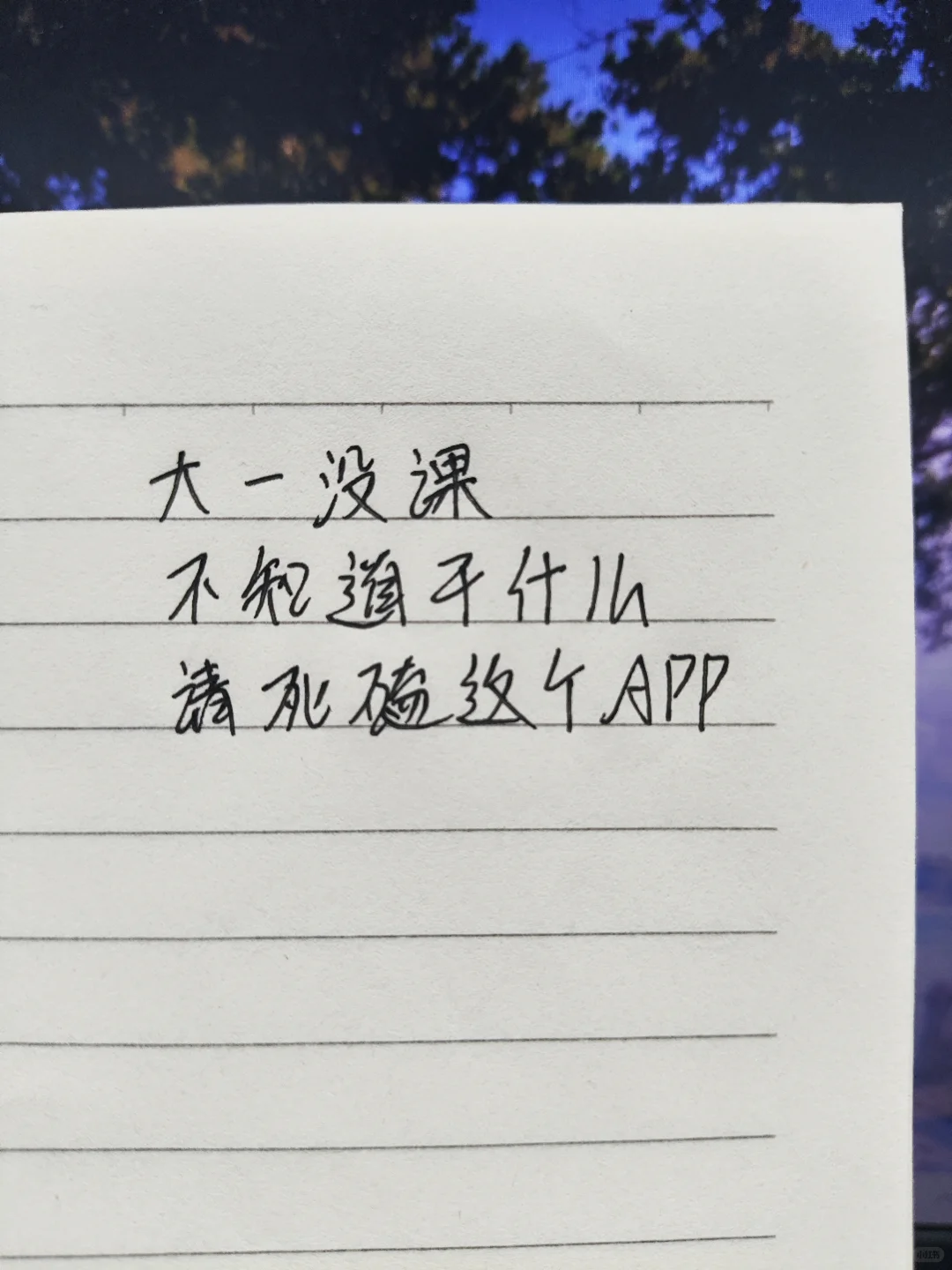 学计算机的没课一定要死磕这个APP好吗!!