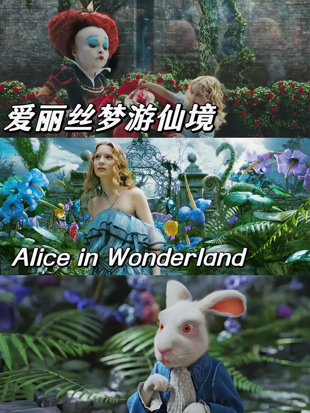 10部浪漫奇幻魔法电影❗️❗️❗️你看过哪部🔥🔥