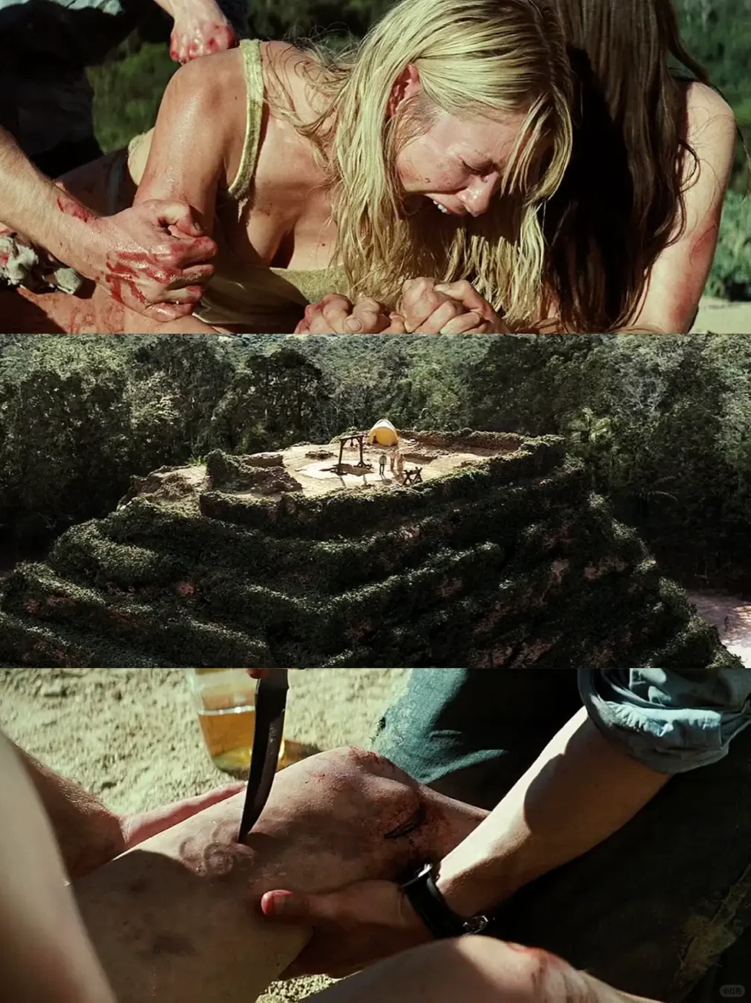 重口味身体恐怖片❗️古墓丽影爆改荆棘之兴🌿